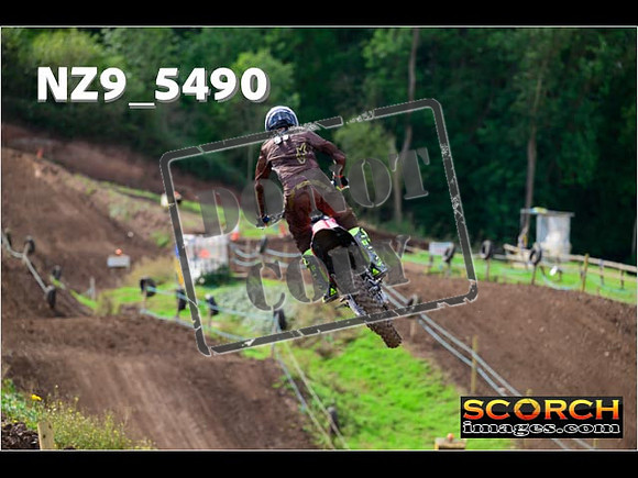 Experts-049