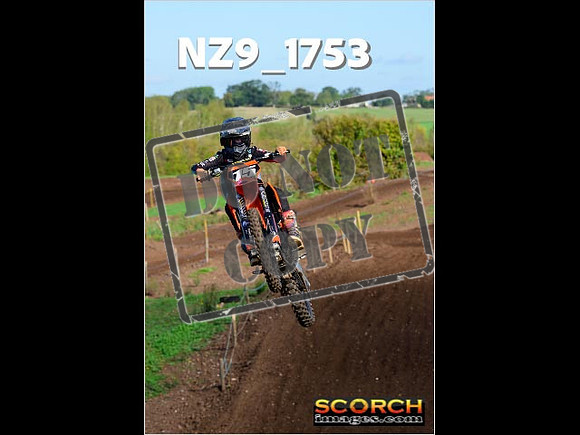 Experts-179