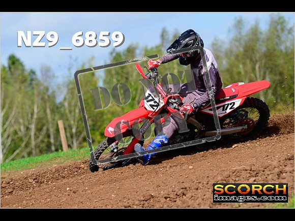 Experts-353