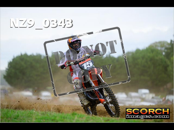 Experts-294