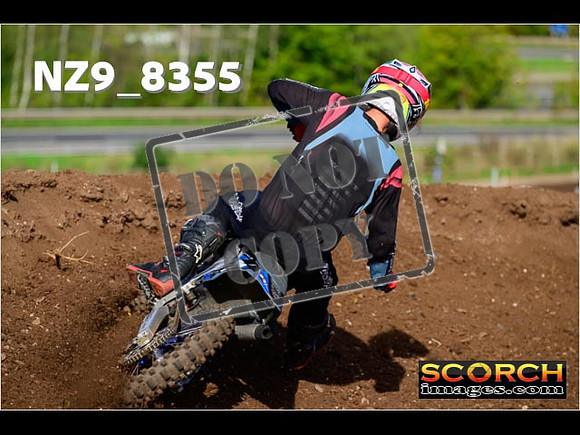 Experts-121