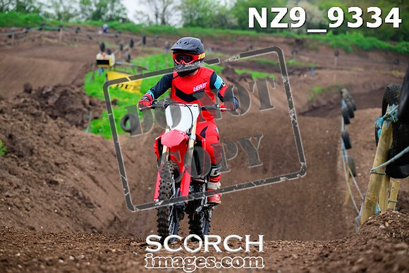 NZ9_9334