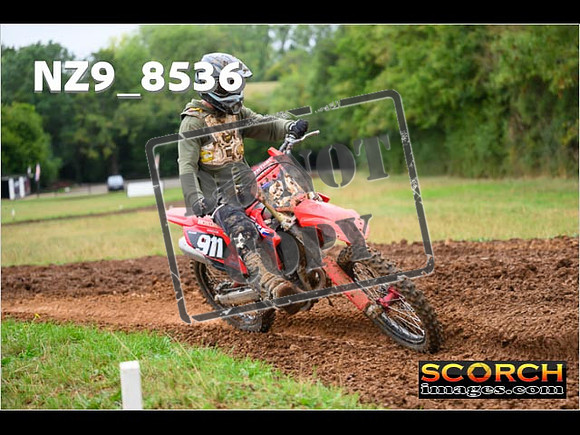 Experts-082