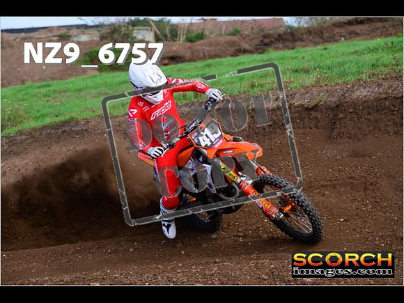 Experts-256