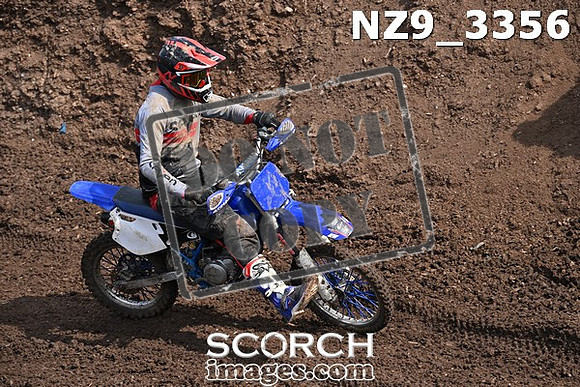 NZ9_3356
