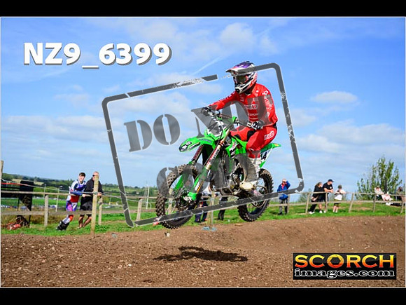 Experts-231