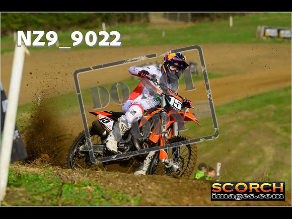 Experts-067