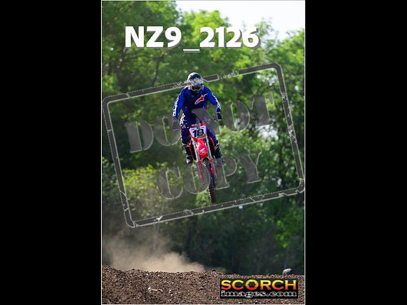 Experts-260