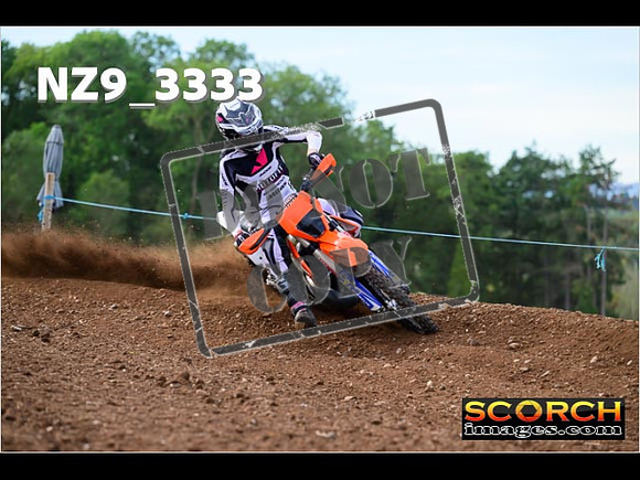 Experts-296