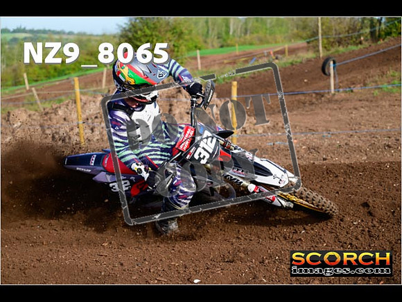 Experts-060