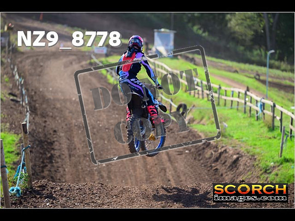 Experts-279