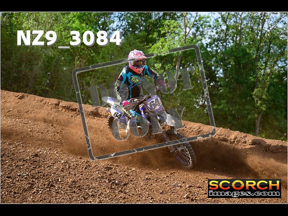 Experts-271
