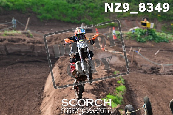 NZ9_8349
