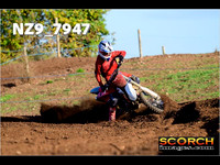 02. Experts-009
