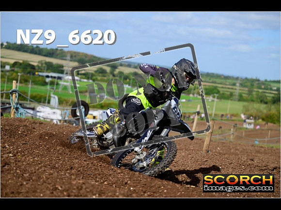 IntersGreen-175