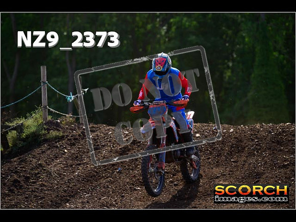 Experts-334