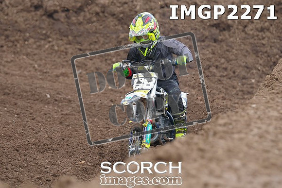 IMGP2271