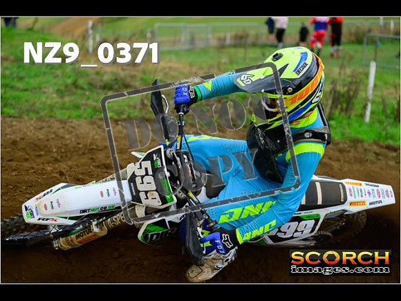 Experts-319