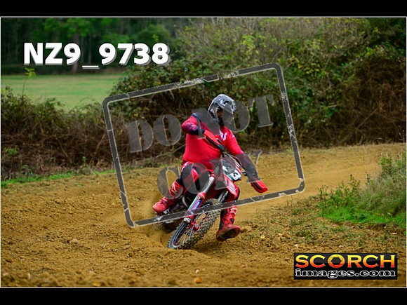 Experts-161