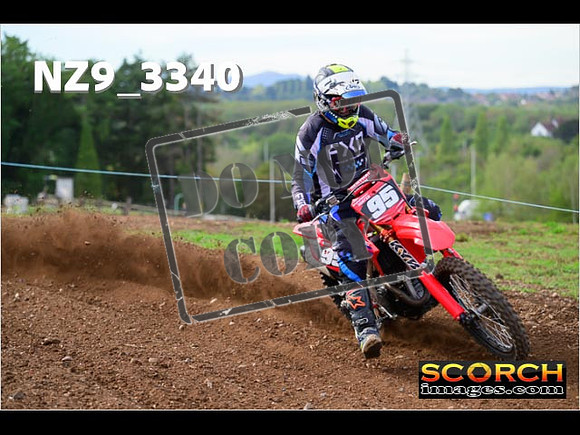 Experts-303