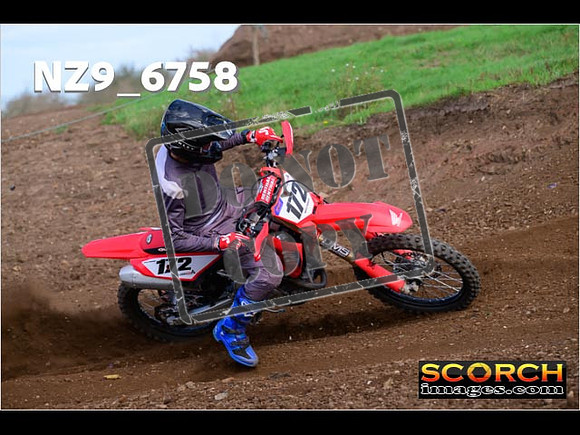Experts-257