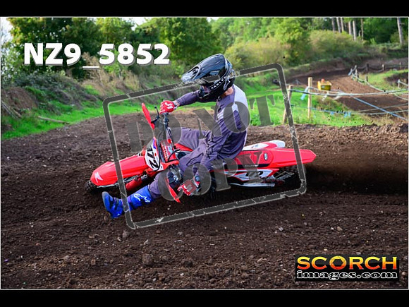 Experts-081