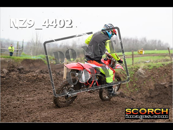 Experts-246