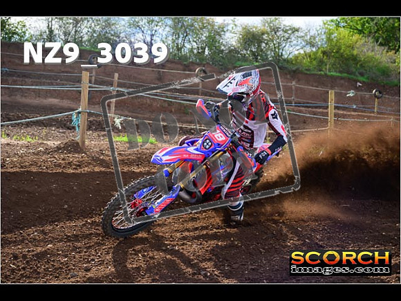 Experts-232