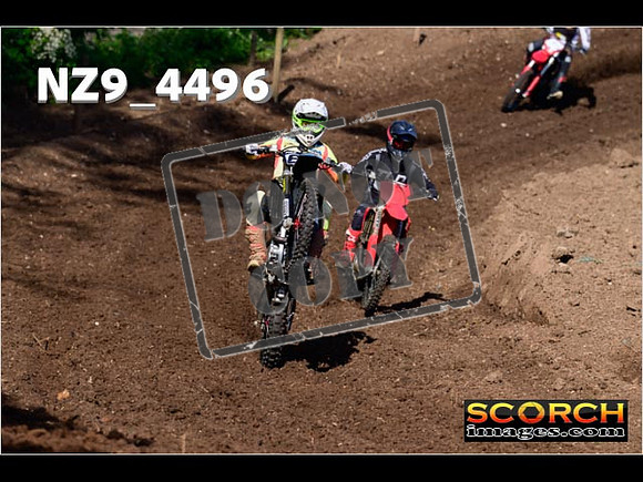 Experts-008