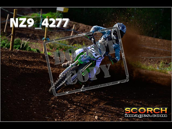 Experts-139