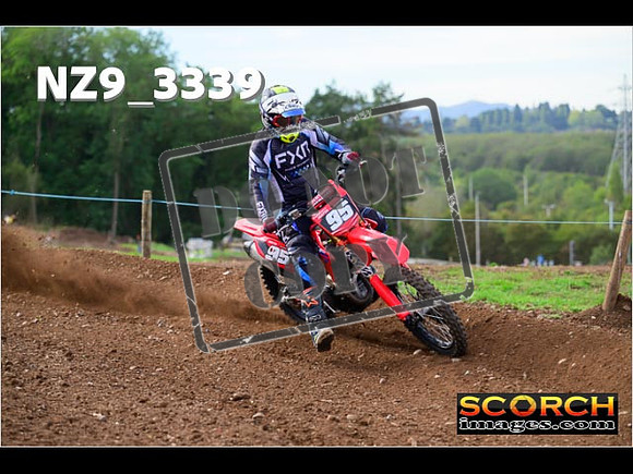 Experts-302
