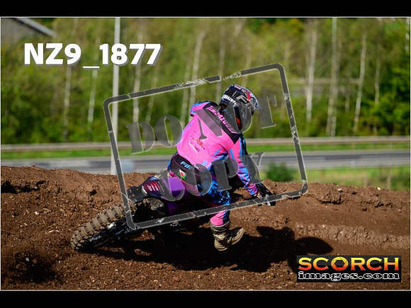 Inters-250