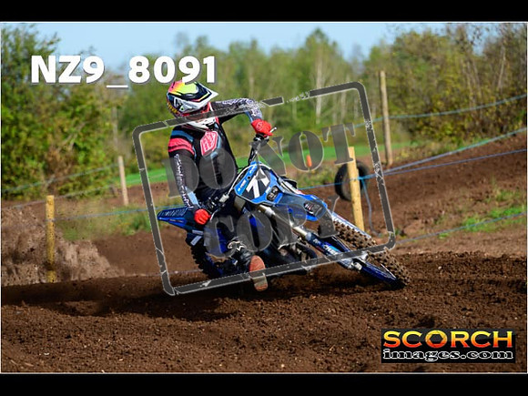 Experts-085
