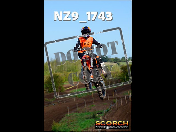 Experts-170
