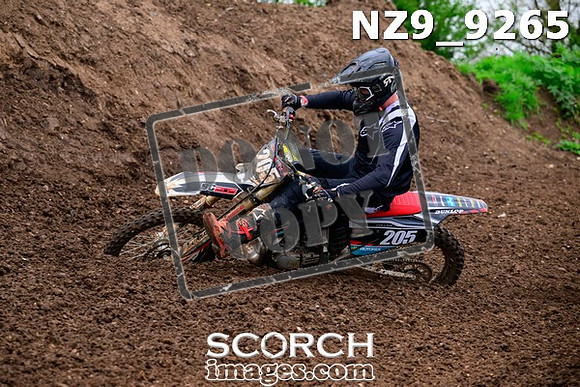 NZ9_9265