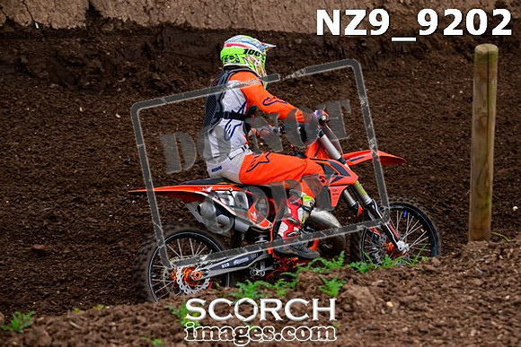 NZ9_9202