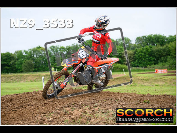 LDR Wed 31-May Experts-046