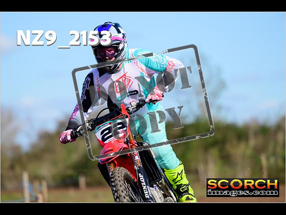 Experts-283