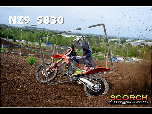 Experts-059