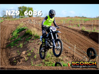 IntersGreen-011
