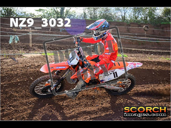 Experts-225