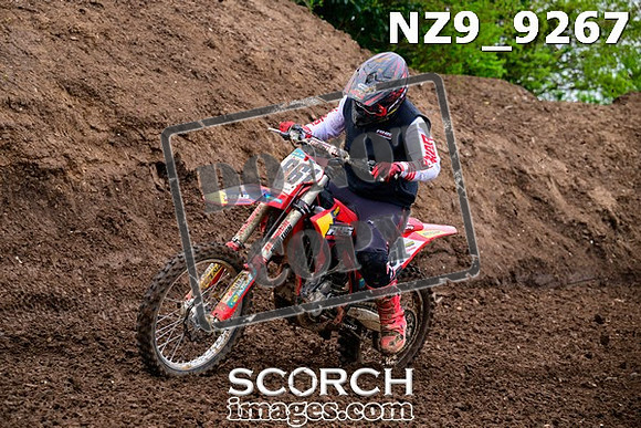 NZ9_9267