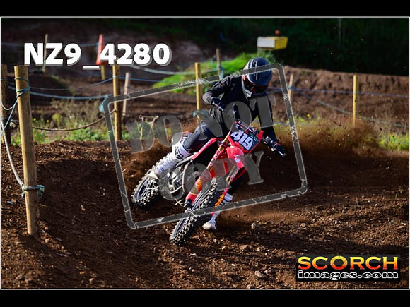 Experts-142