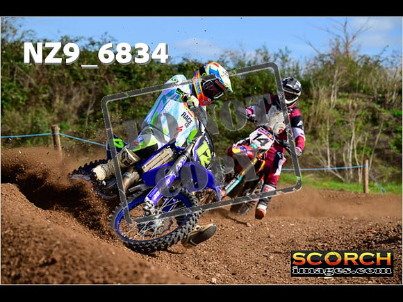 Experts-329