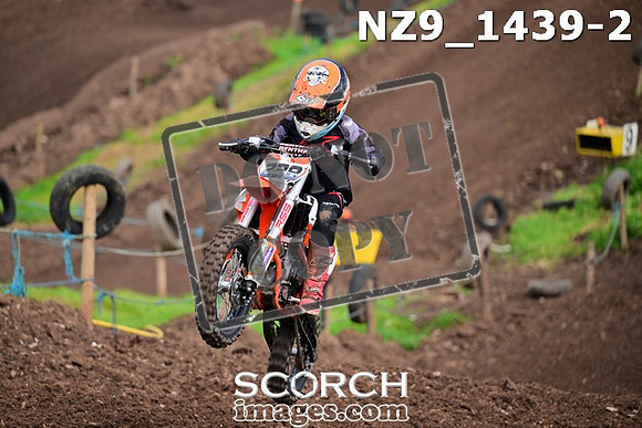 NZ9_1439-2
