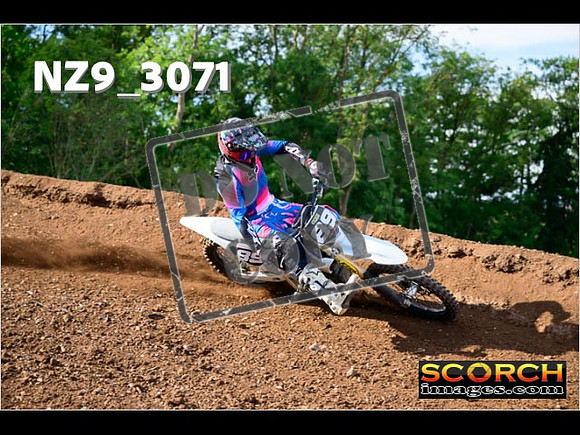 Experts-262