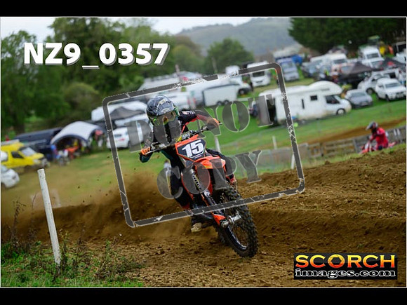 Experts-306