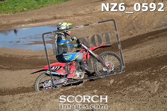 NZ6_0592
