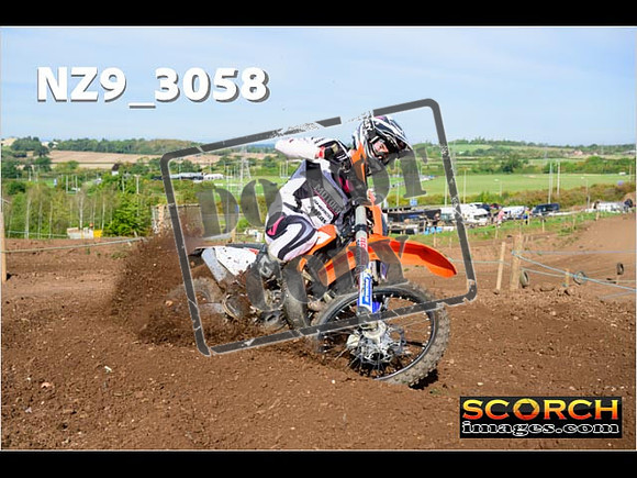 Experts-250