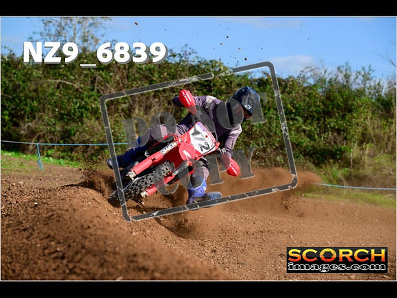 Experts-334